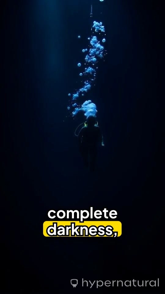 Top 3 Most Perilous Deep Sea Dives That Survivors Conquered!