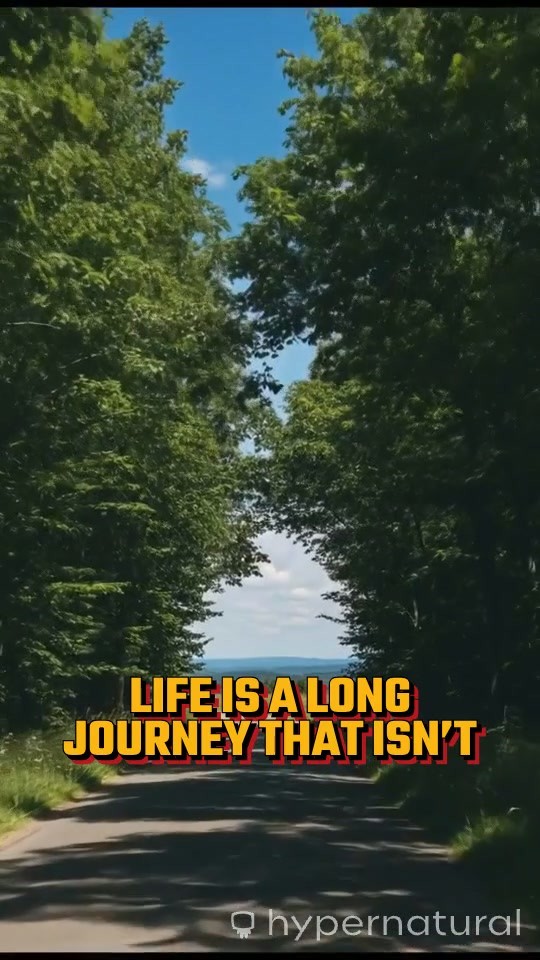 The Beauty of Life's Journey: Embracing the Stumbles