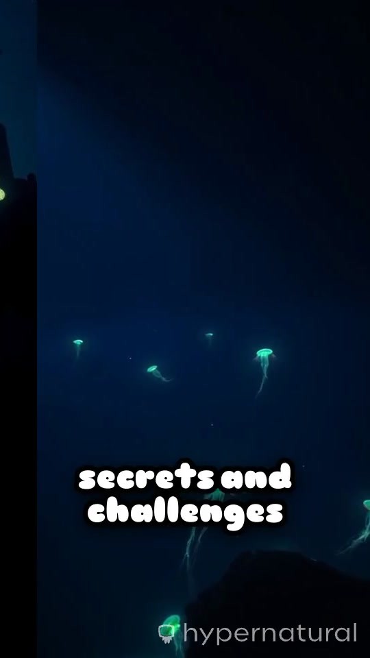 Surviving the Depths: 3 Deadliest Deep Sea Dives!