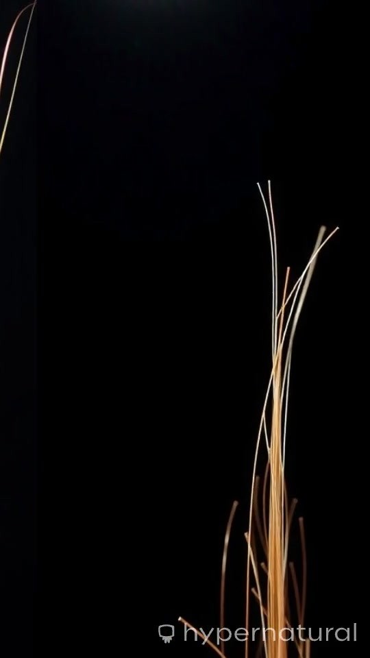 Strength and Resistance of Human Hair Under Tension