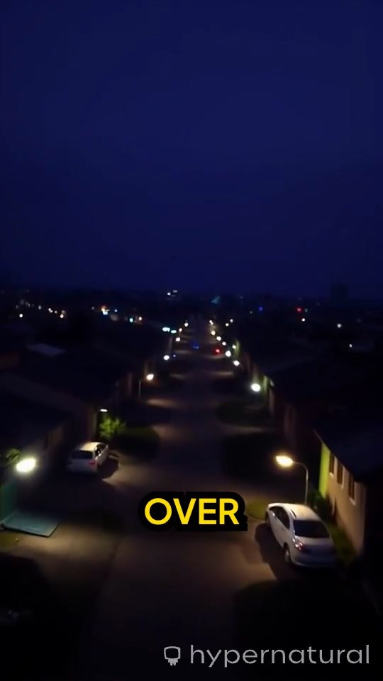 The Boy Who Chose Blood Over Love