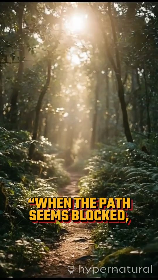 From Struggle to Strength: Connecting Life's Pathways