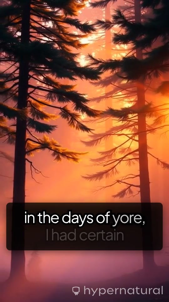 Reflections of Yore