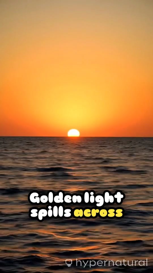 Whispers of Reconnection