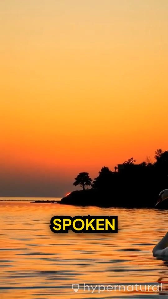 The Journey of True Love: Embracing Imperfections Together