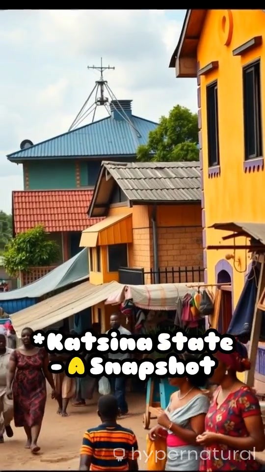 Katsina State: A Historical Overview and Cultural Legacy