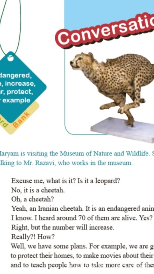 Saving the Iranian Cheetah: Conservation Efforts Explained