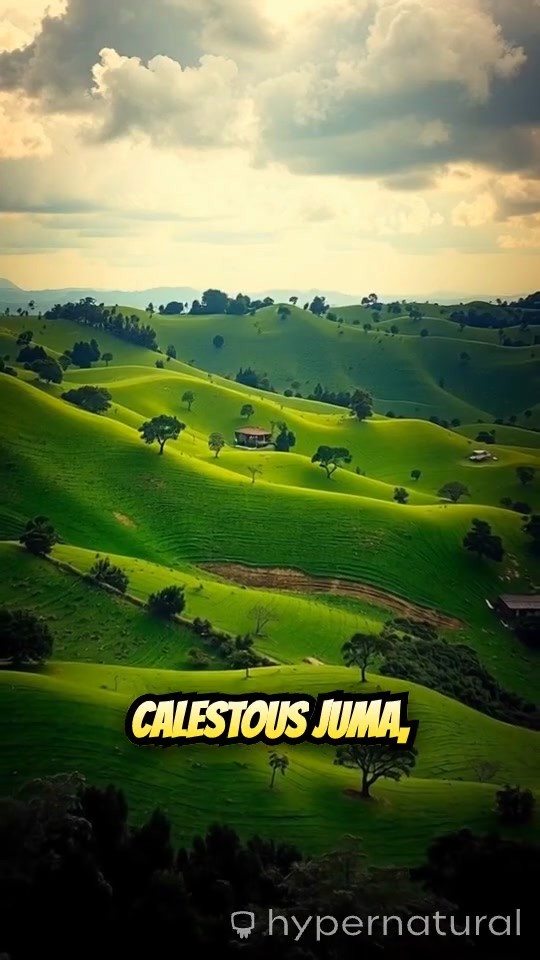 Calestous Juma: Championing Innovation for Africa's Development