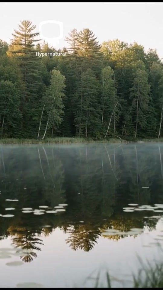 Dawn Reflections on Tranquil Waters