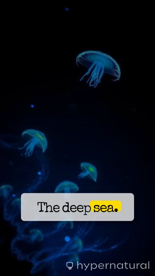 3 Most Dangerous Deep Sea Dives - Survivors' Tales!