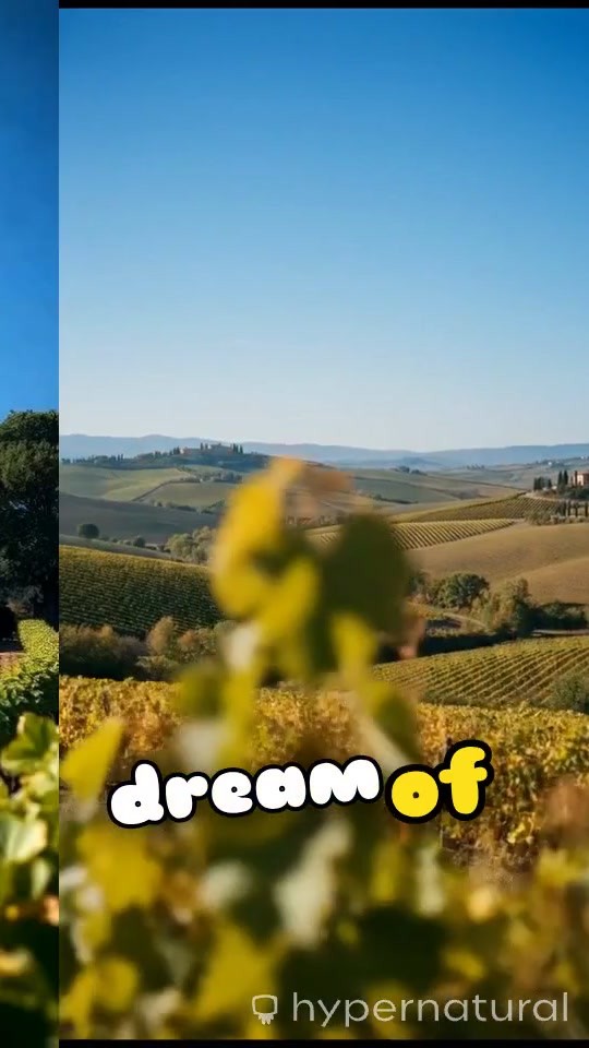 Your Dream Home in Sonoma County Wine Country Awaits!