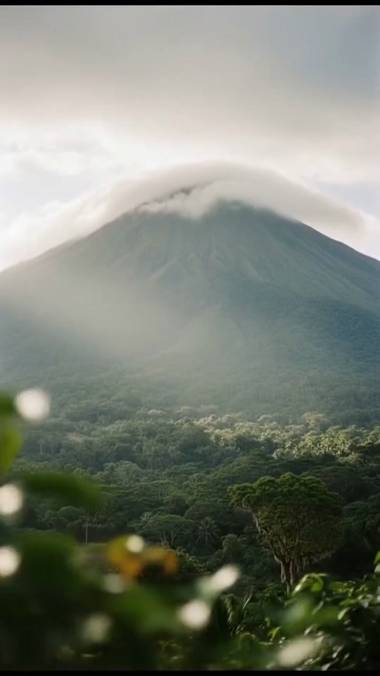 The Hill That Devoured Lives: Hamburger Hill's Tragedy
