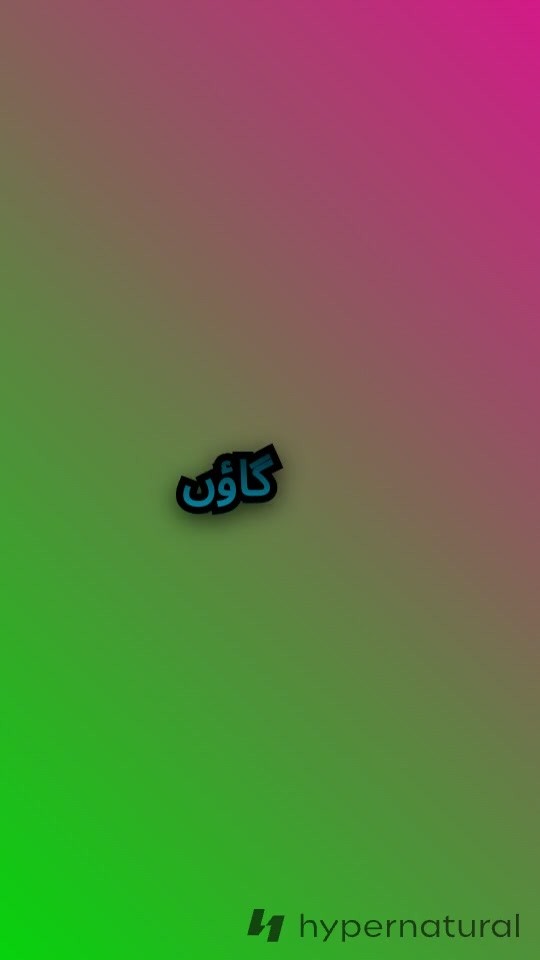 علی کی محنت اور کامیابی کی کہانی