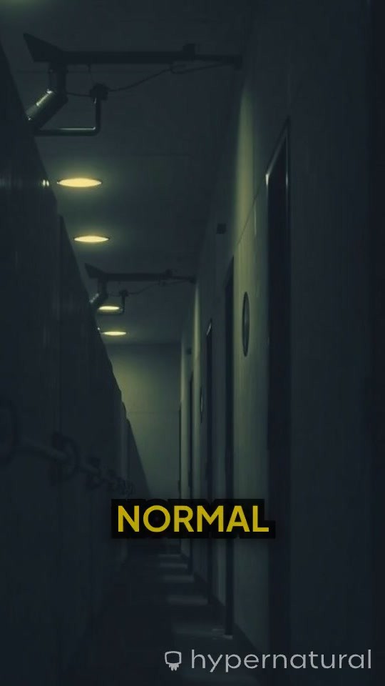 Whispers in the Night