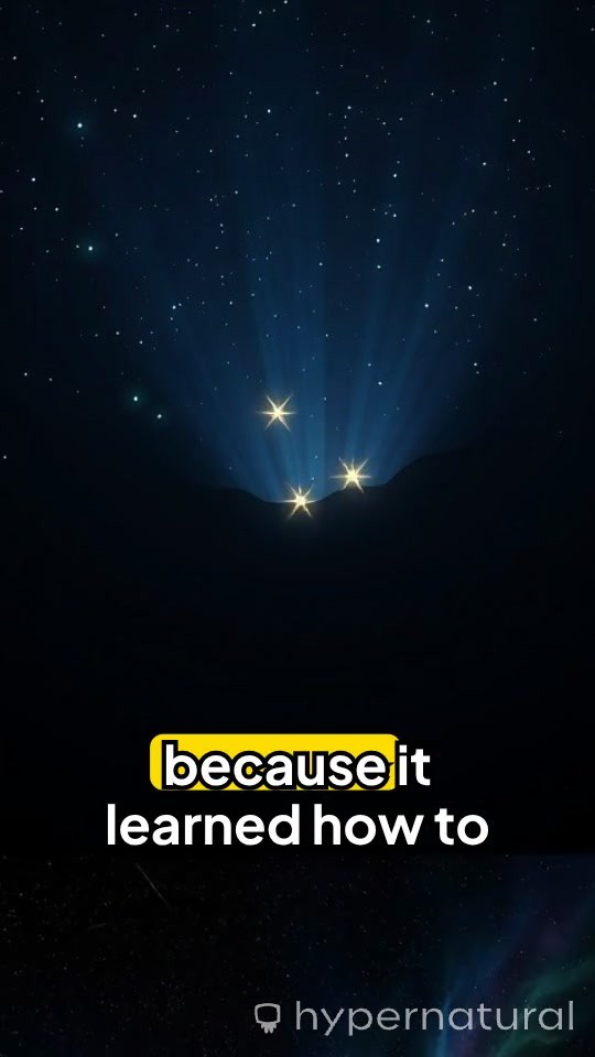 Echoes of the Cosmic Mind