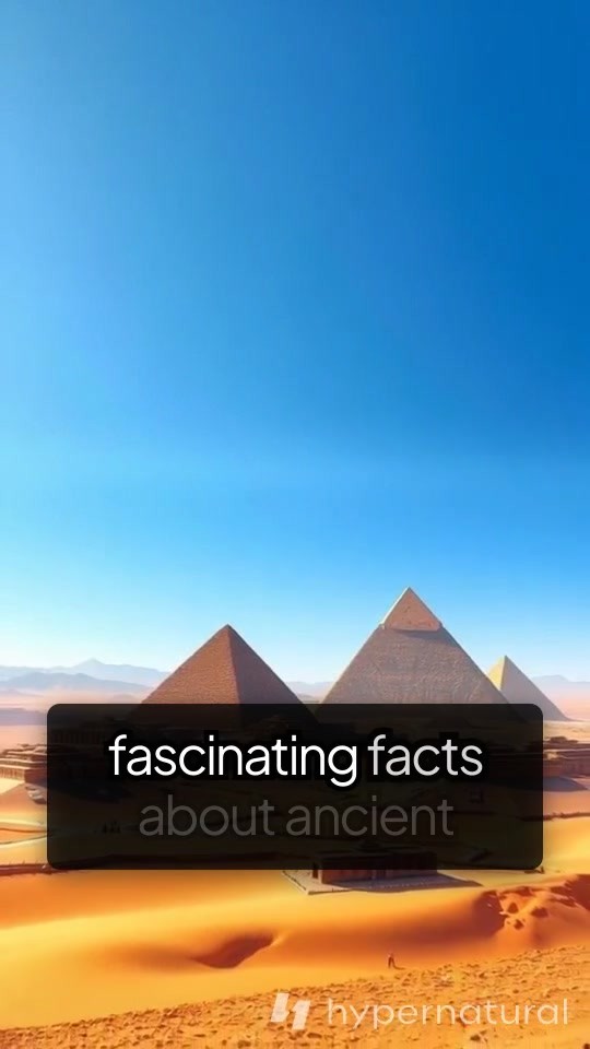 Fascinating Insights into Ancient Egyptian Civilization