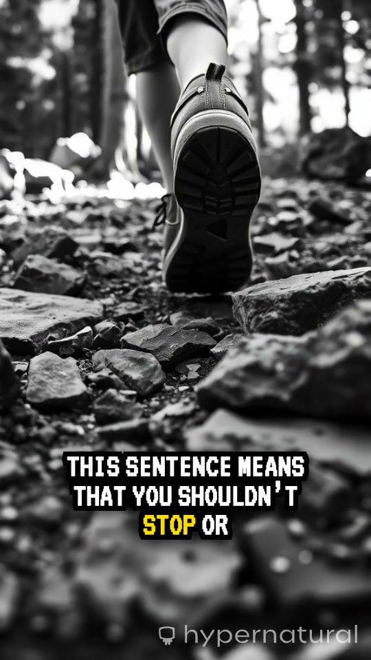 Embrace the Journey: Every Step Counts