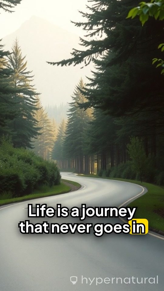 Embracing the Journey: Growth Through Struggles