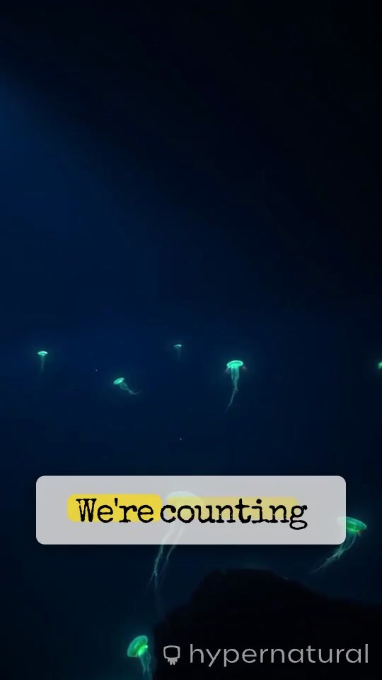 Surviving the Depths: 3 Most Treacherous Deep Sea Dives!