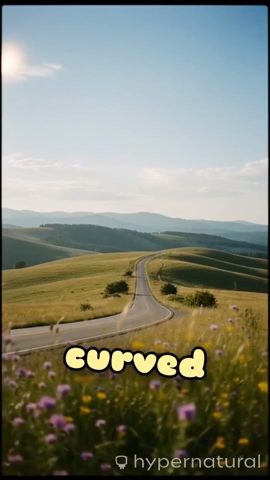 The Full-Stack Developer's Journey: From Basics to DevOps