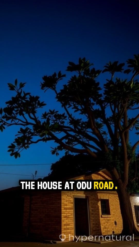 Whispers of Odu Road