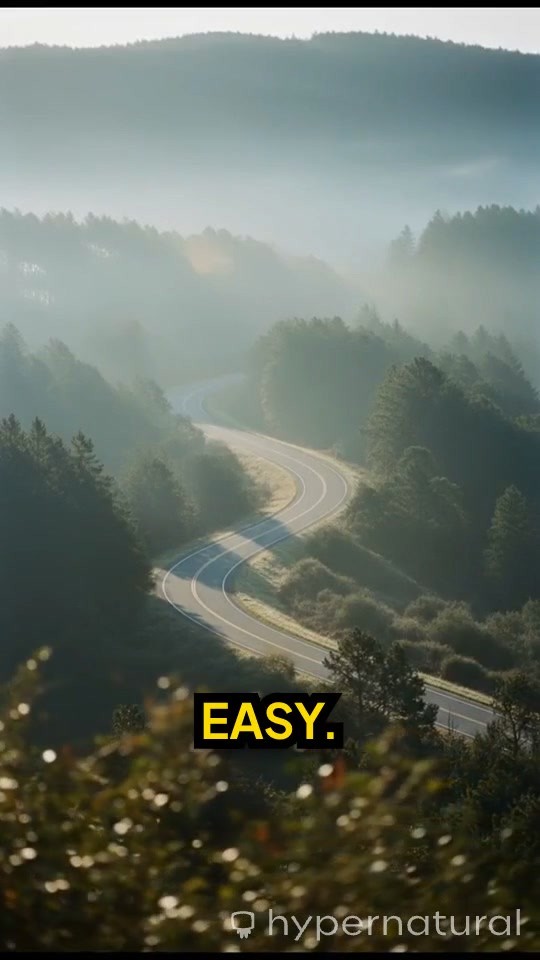 Every Small Step Matters: Keep Moving Forward