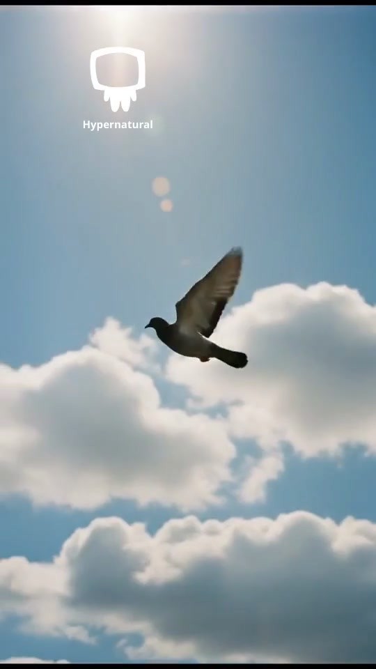 Understanding Gravity: The Force That Holds Us Down!