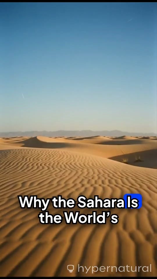 Why the Sahara Is the Largest Hot Desert