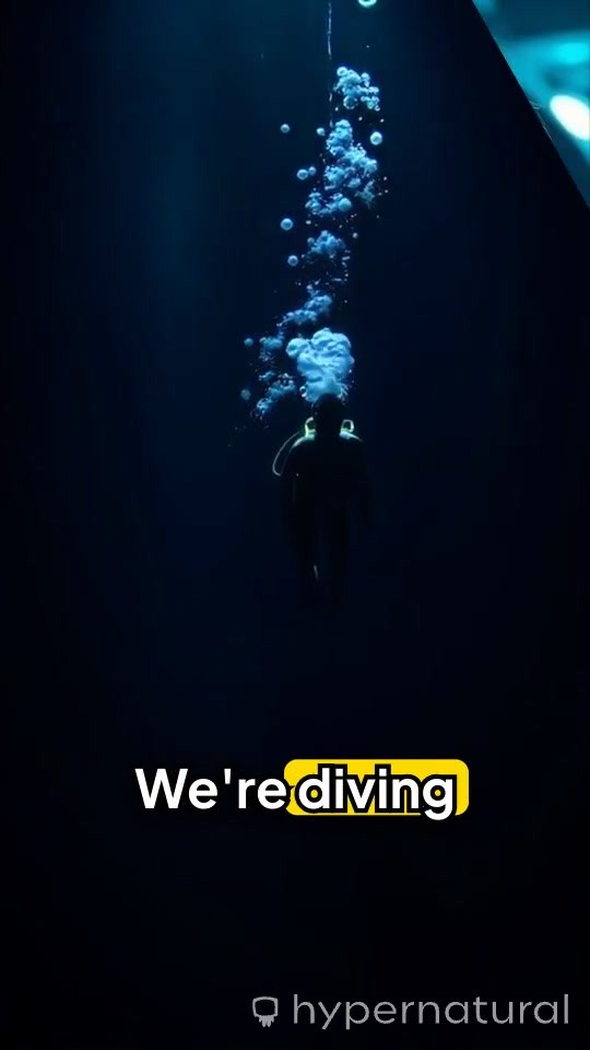Surviving the 3 Deadliest Deep Sea Dives!