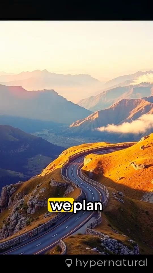 Embracing Life's Lessons: The Journey Forward