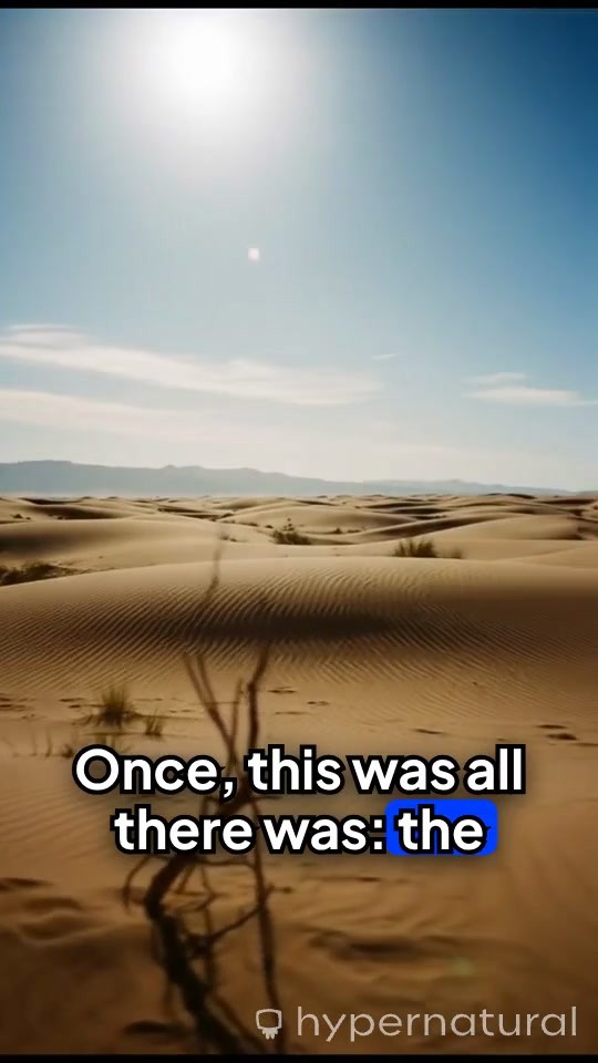 From Sand to Skyscrapers: The Rise of Dubai