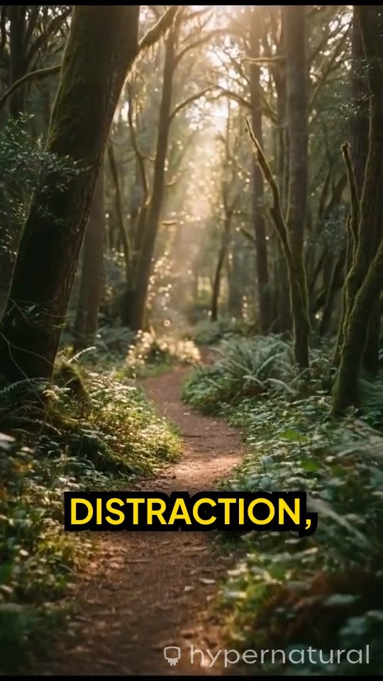 Embrace the Journey: Every Step Builds Our Future