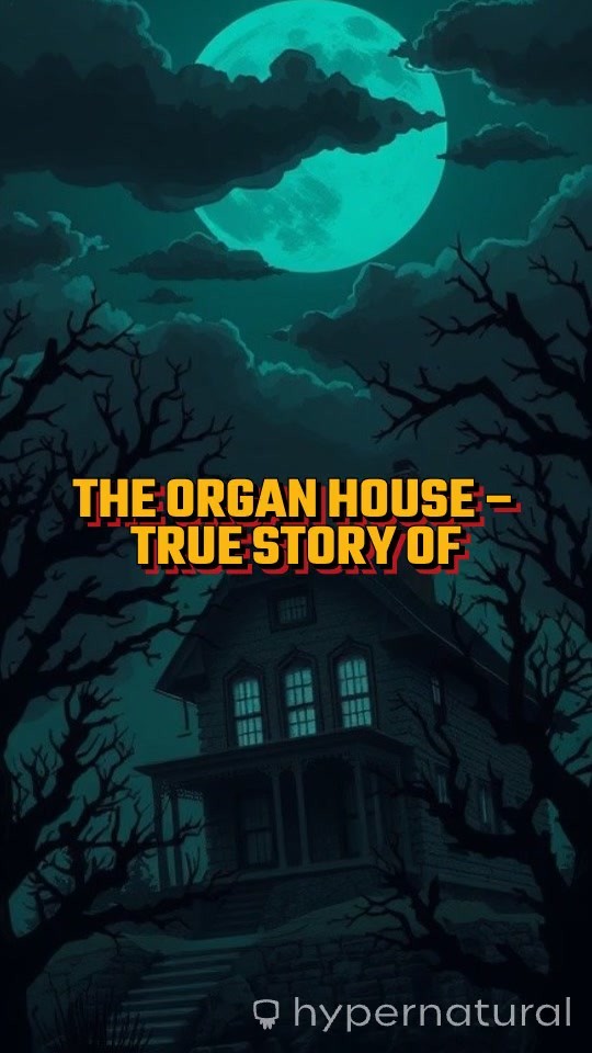 The Organ House: A Gruesome Discovery in Gurgaon
