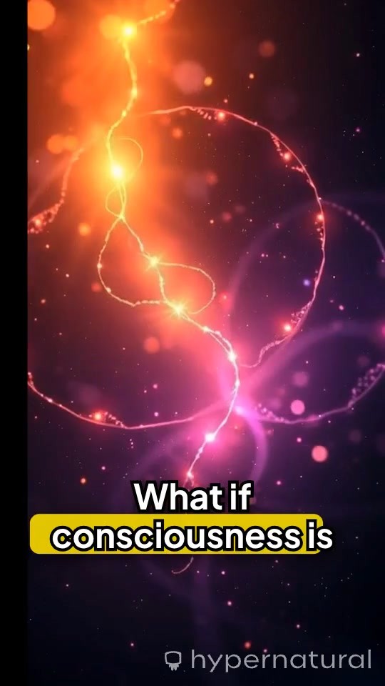 Is the Brain Inside Consciousness?