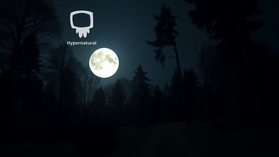 Silent Stalker: The Black Panther in Moonlight