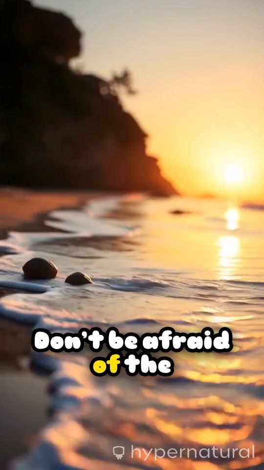 Embrace the Timing of Your Journey