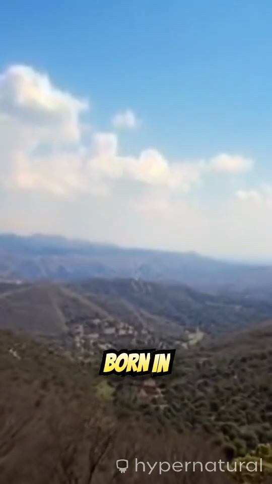 Caster Semenya: A Champion's Fight for Identity and Dignity