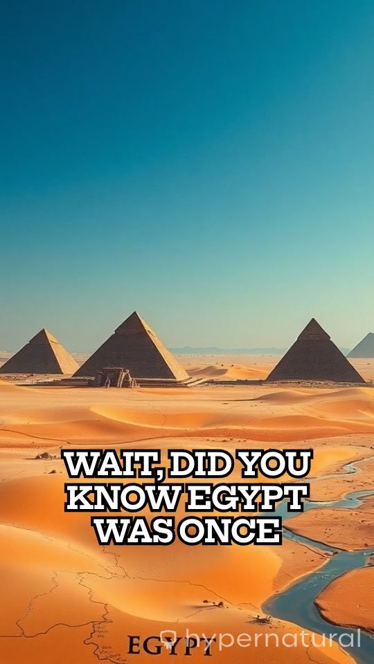 The Rise of the Black Pharaohs: Nubia's Conquest of Egypt