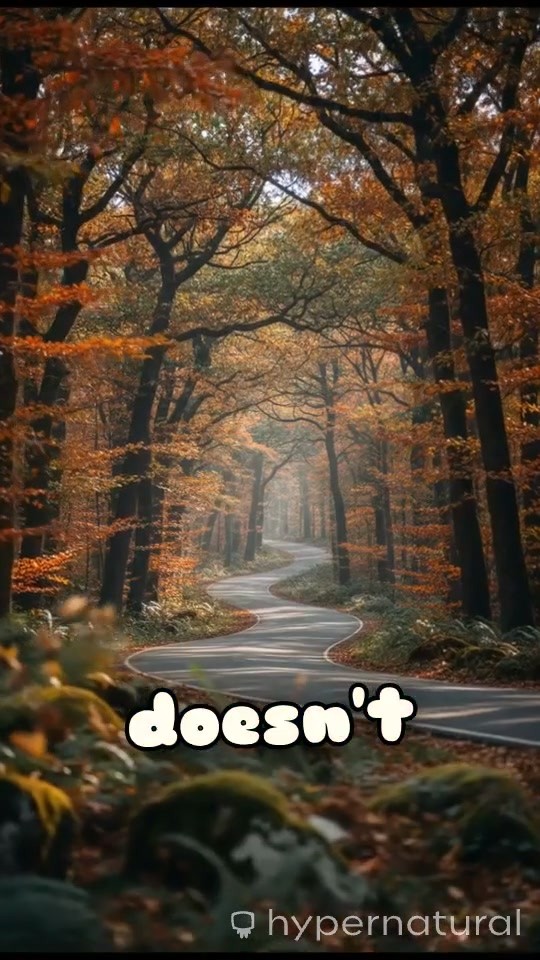 Pelajaran Berharga dalam Setiap Langkah