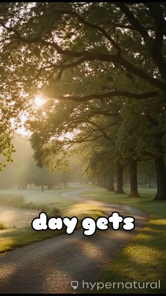 A Sunday Reminder: Embrace Grace and God's Guidance