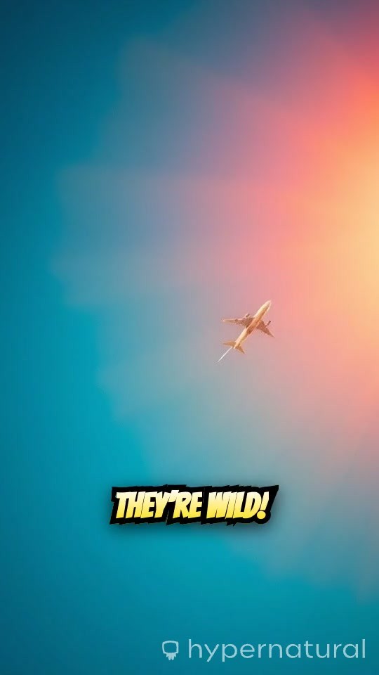 Mind-Blowing Airplane Facts You HAVE to Know!