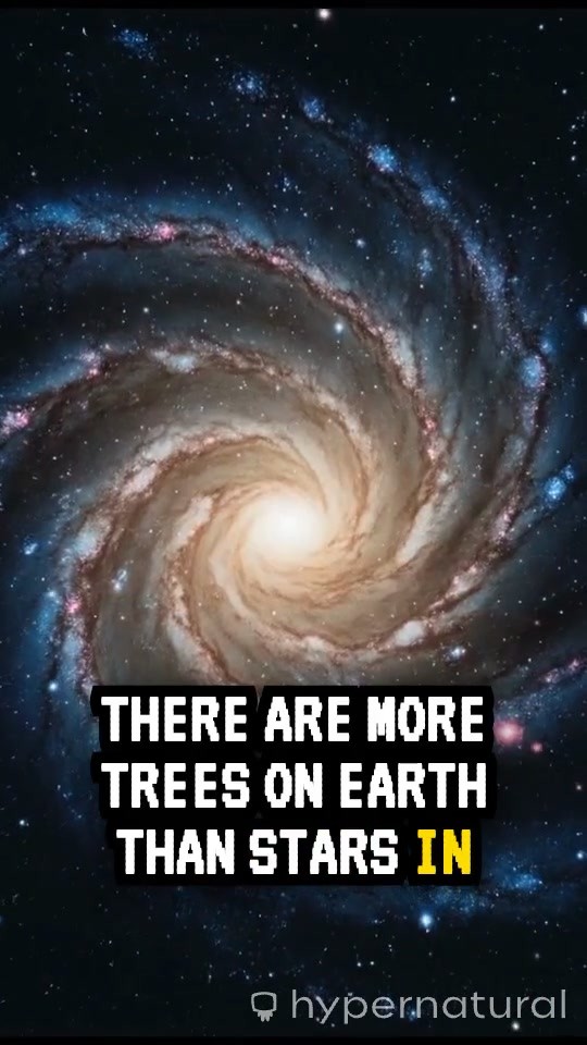 More Trees on Earth Than Stars in Our Galaxy!