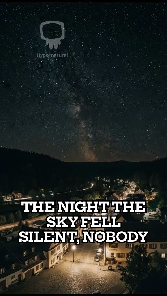 The Night the Sky Fell Silent (copy)