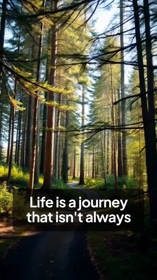 Lessons from Life's Journey