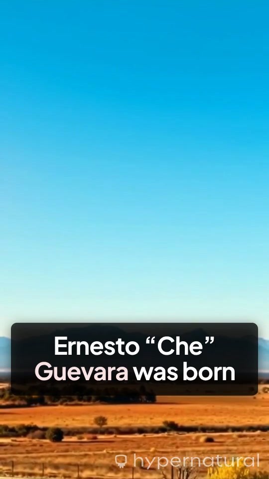 The Legacy of Che Guevara: Rebel or Ruthless Ideologue?