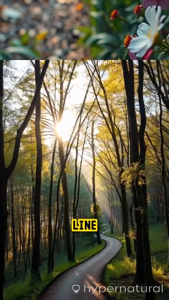 Enjoying the Path: Embrace the Journey of Life