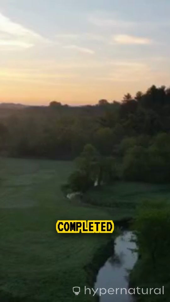 The Creation Story: Genesis 1 Animated