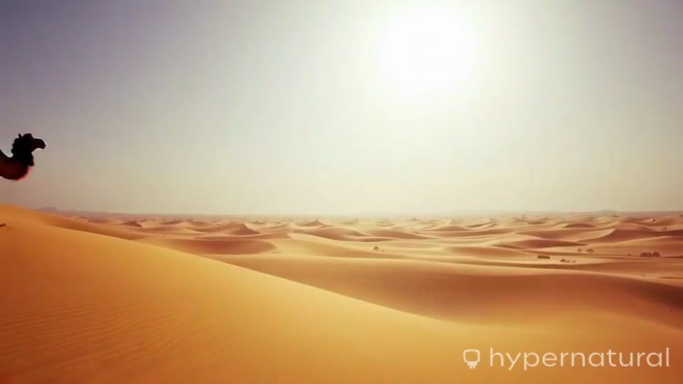 Strength for the Weary