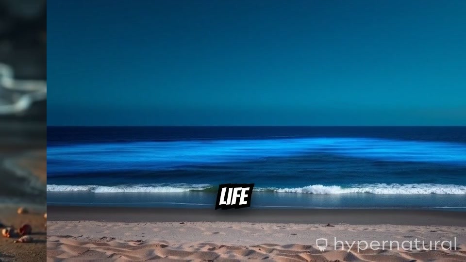 Granny of the Sea: The Mermaid Tale