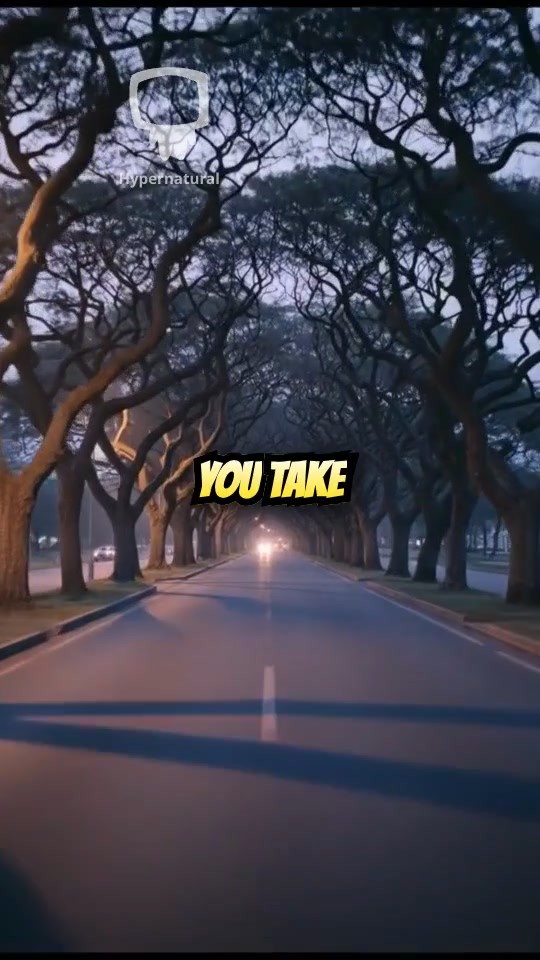 خطواتك تحظى بمراقبة الله